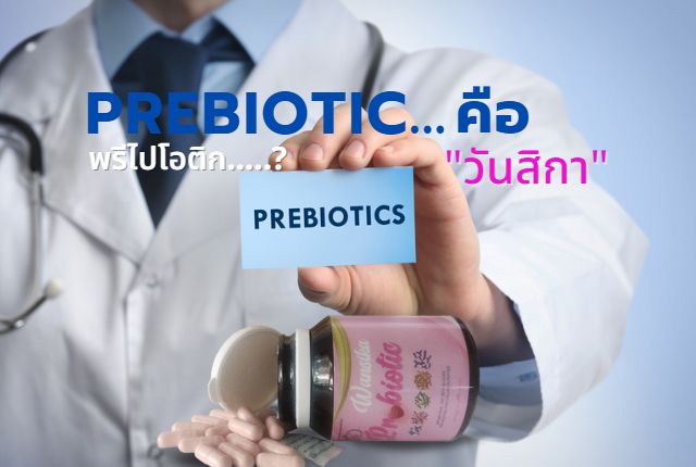 Wansika Probiotic