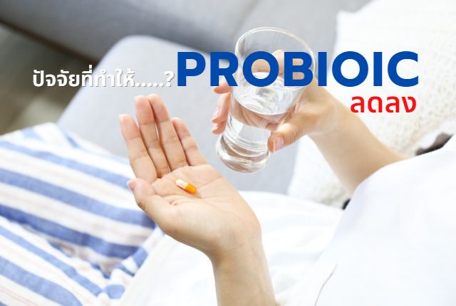 Wansika Probiotic